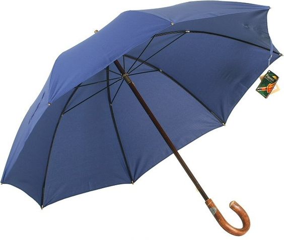 Piganiol...Mon parapluie.jpg