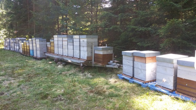 en est a  3 apiculteurs sur la place.jpg