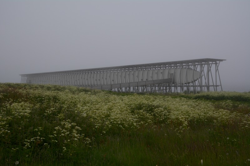 p173.JPG