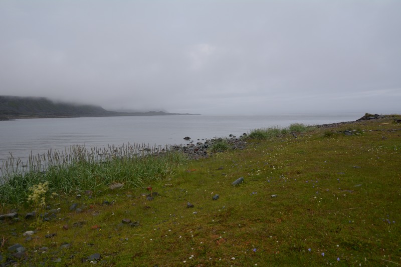 p185.JPG