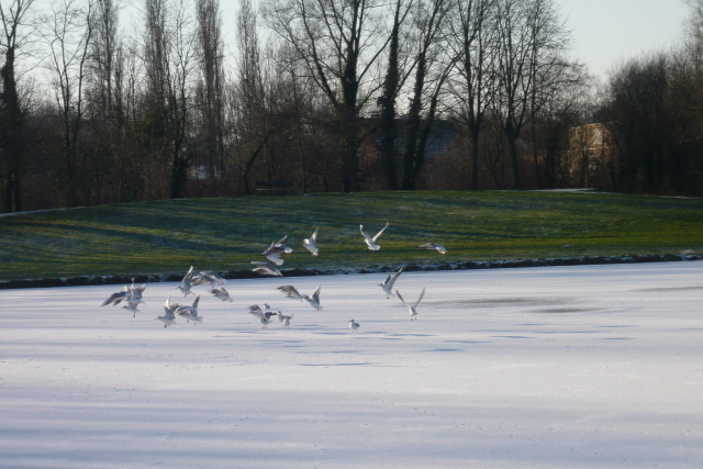 P1010236.JPG