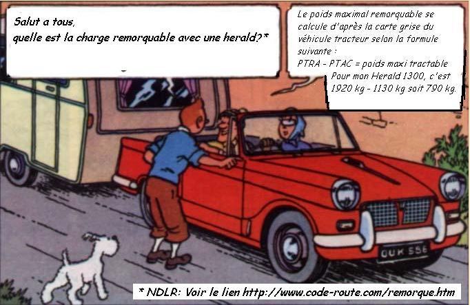 Tintin2.JPG
