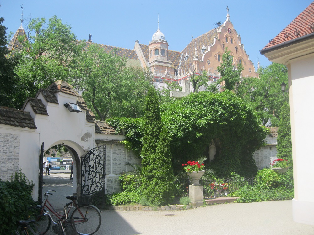sIMG_8395.jpg