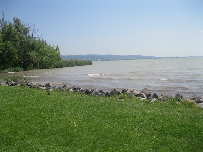 sIMG_8409.jpg