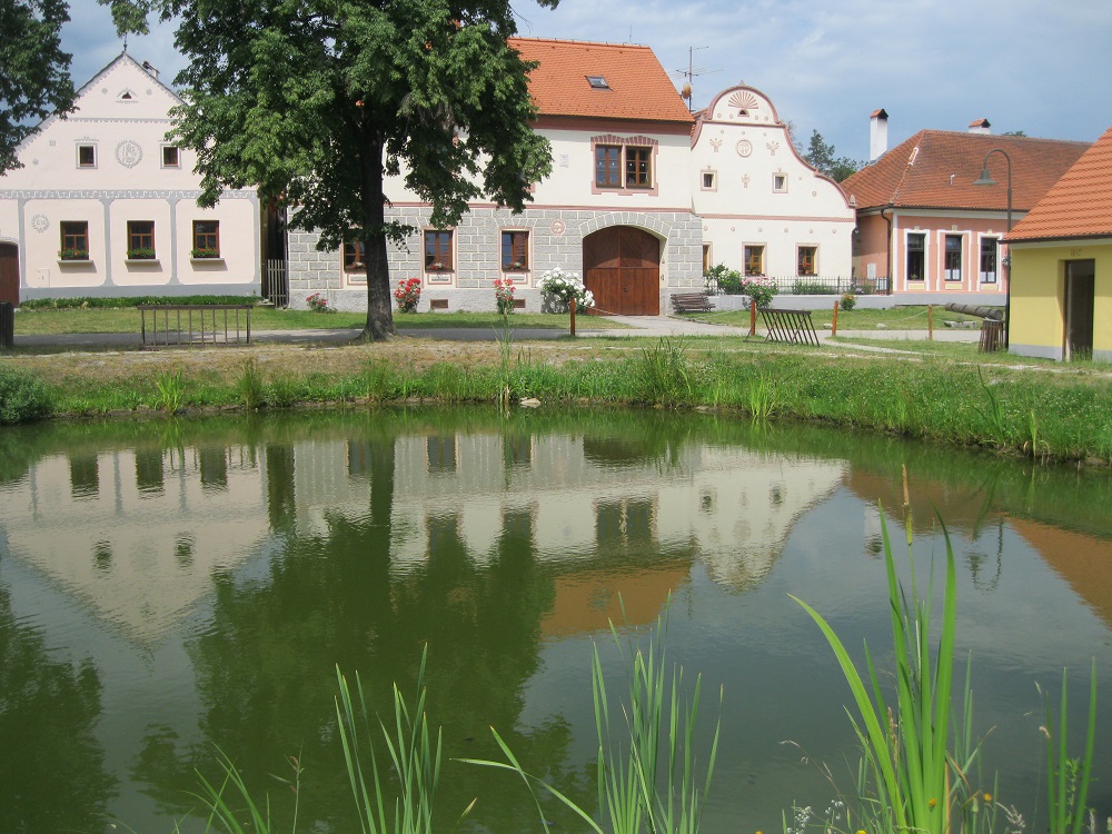 sIMG_8675.jpg