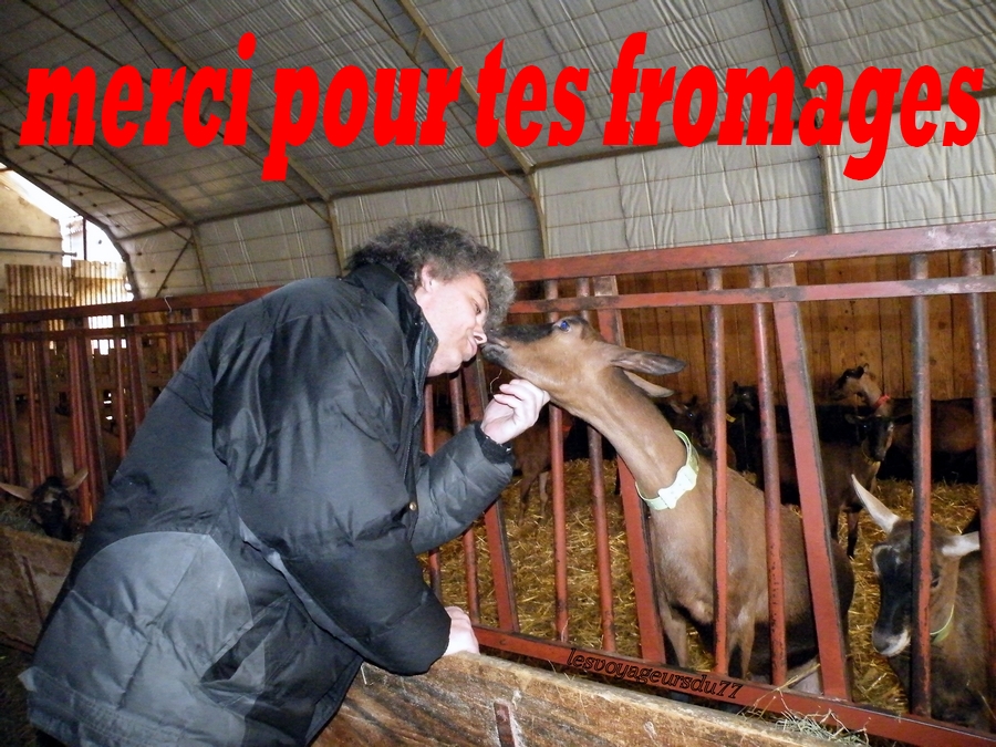 sans commentaire