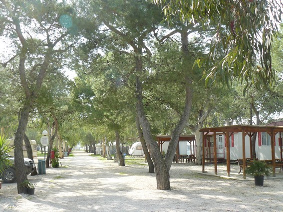 lido salpi.jpg