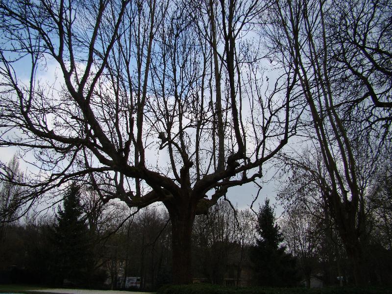 124.JPG