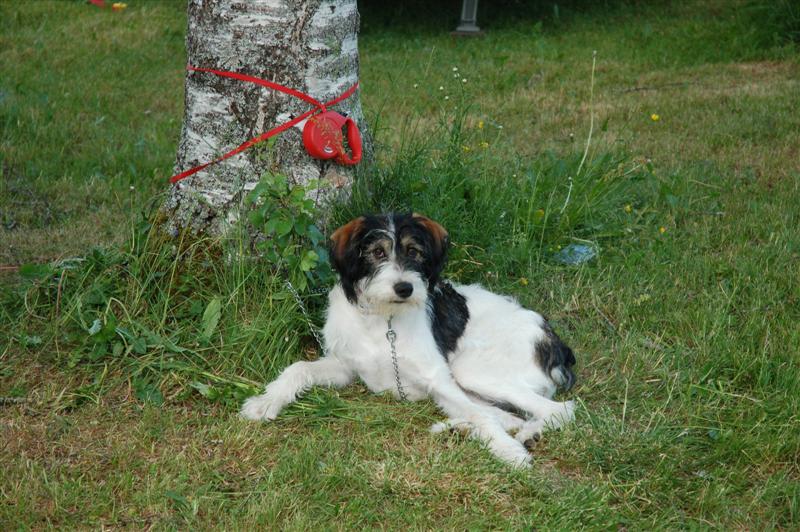 DSC_0091 (Medium).JPG