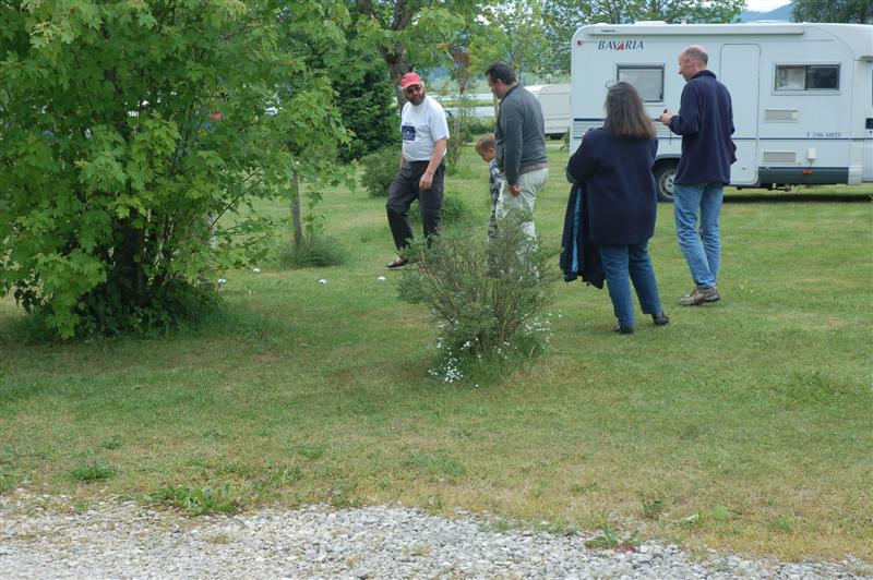 DSC_0358 (Medium).JPG