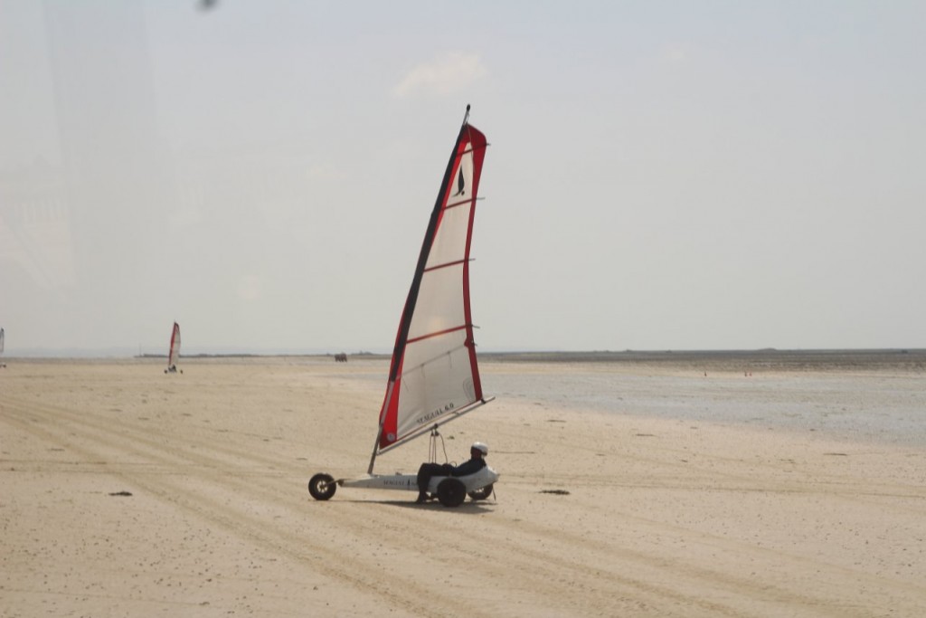 IMG_4226.JPG