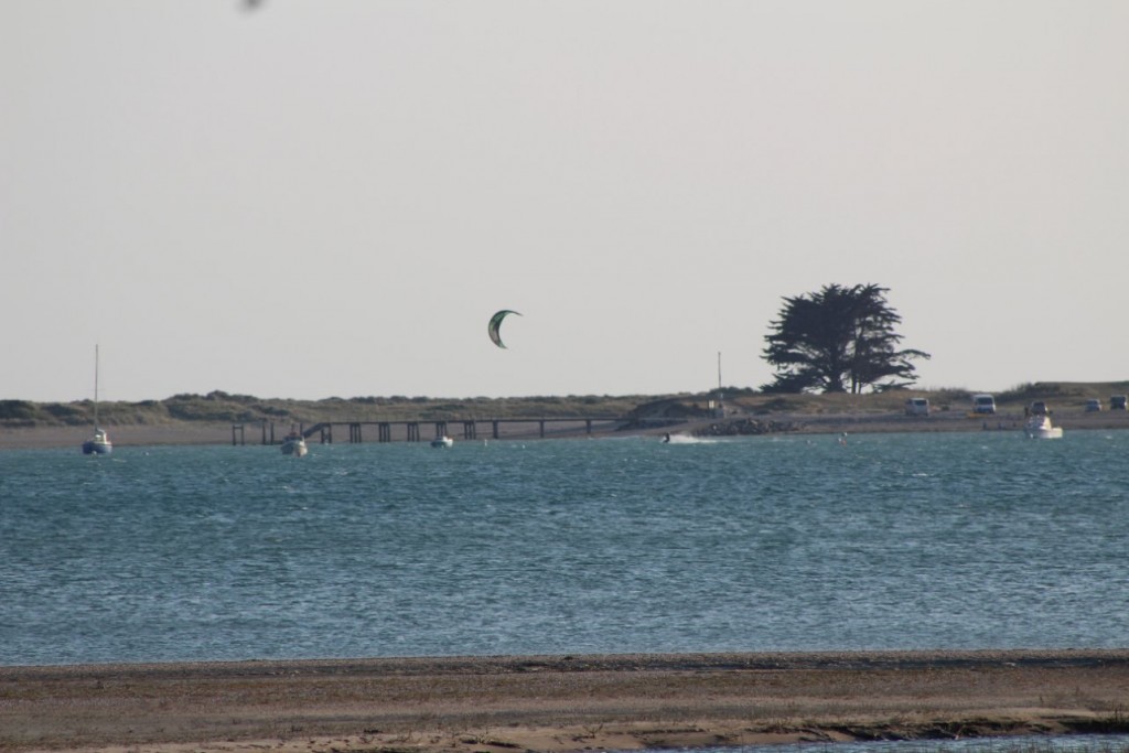 IMG_4332.JPG