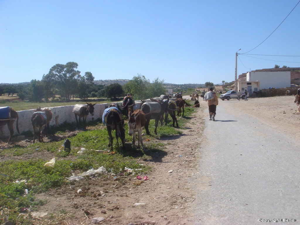 Parking berbere