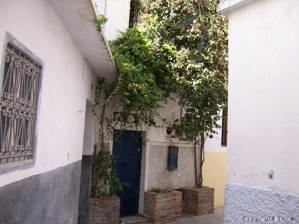 Casbah