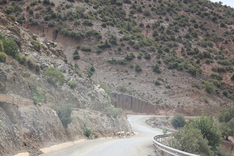 454 - 3 vallées- Asni, Ouirgane, Ourika.JPG