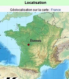 Bonnes carte.jpg