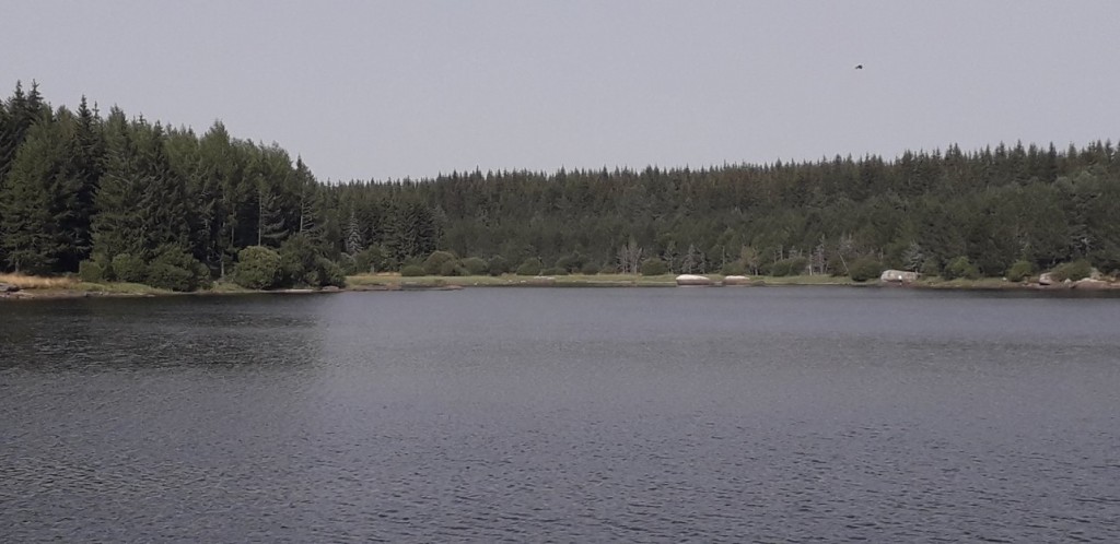 20230905_163301.jpg