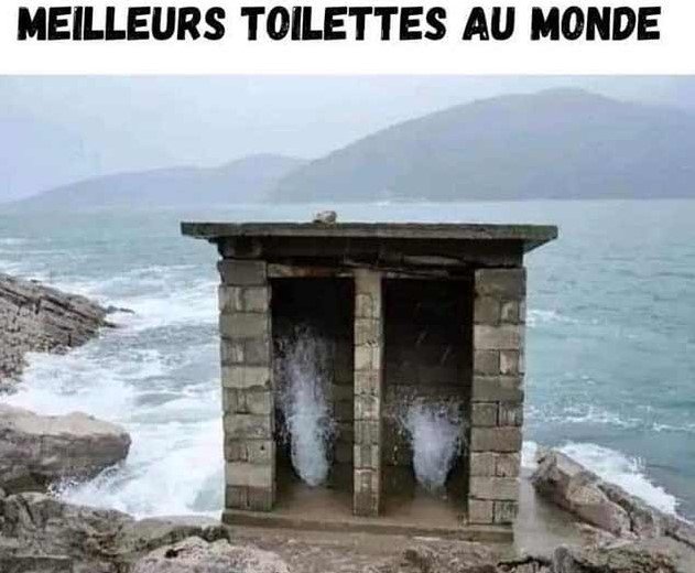 WC.jpg