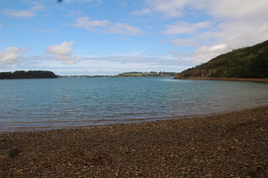 IMG_4428.JPG