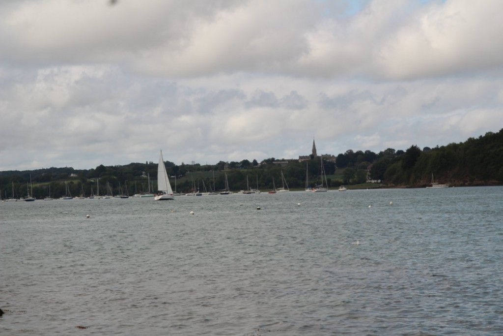 IMG_4432.JPG