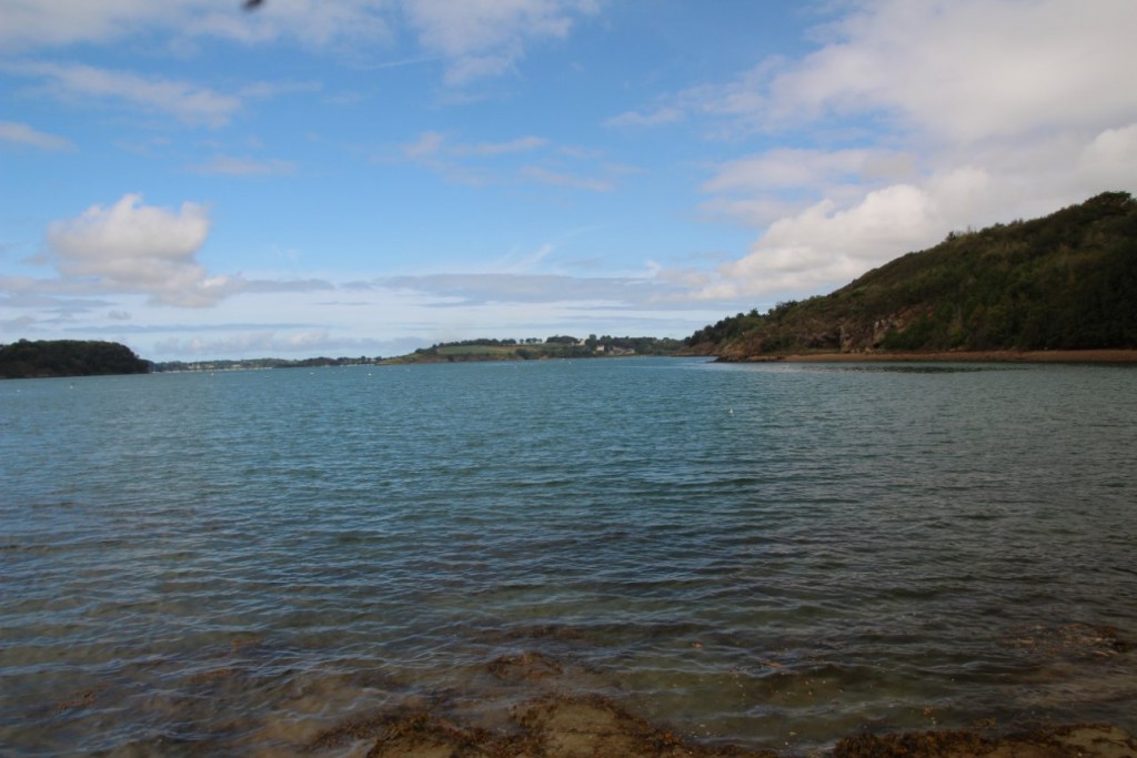 IMG_4439.JPG