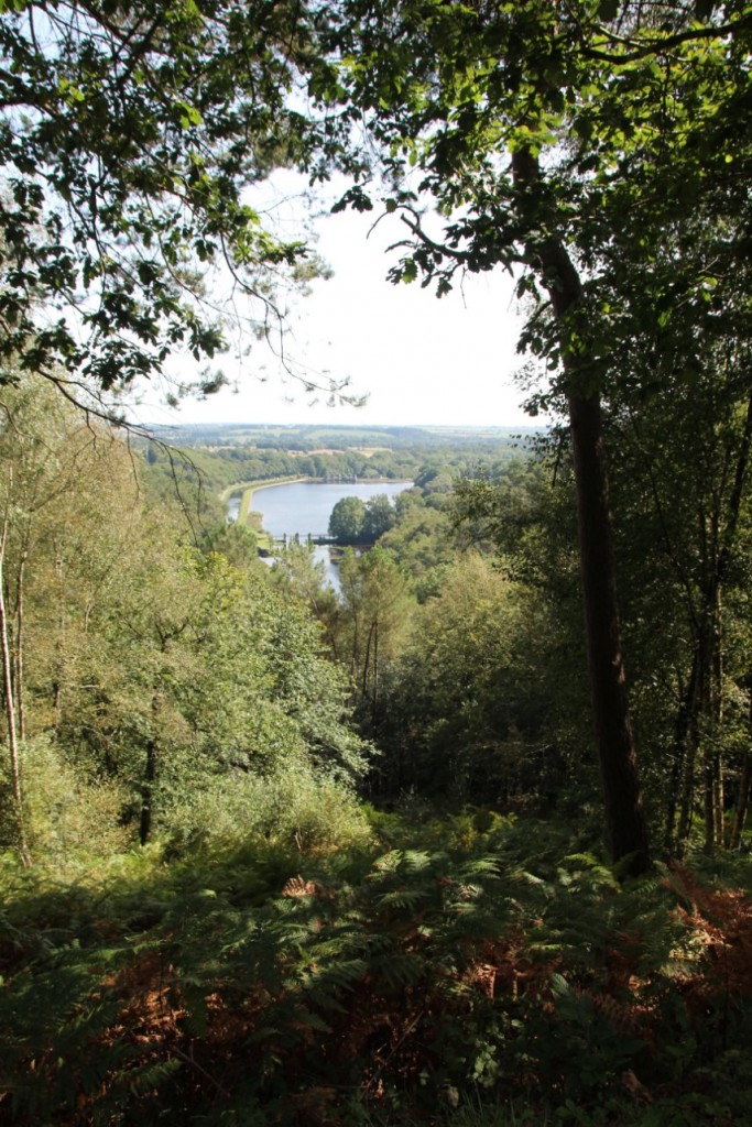 Le lac de Serre les dents (Guerlédan).