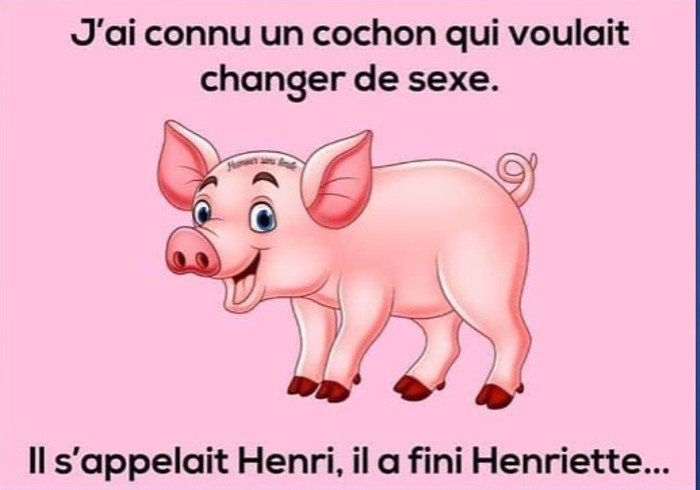 Henriette.jpg