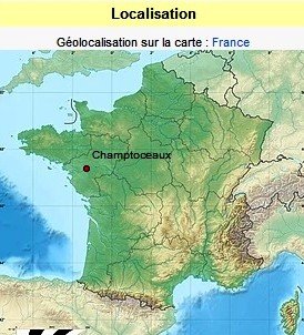 Champtoceaux carte.jpg
