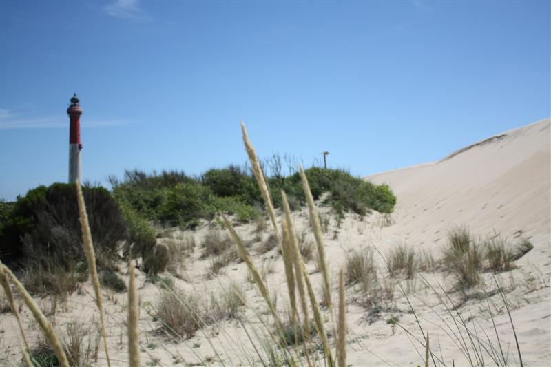 IMG_1090 (Medium).JPG