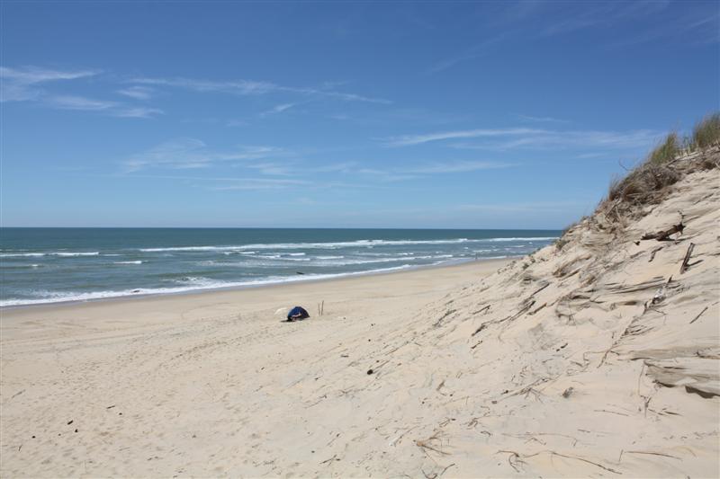 IMG_1092 (Medium).JPG