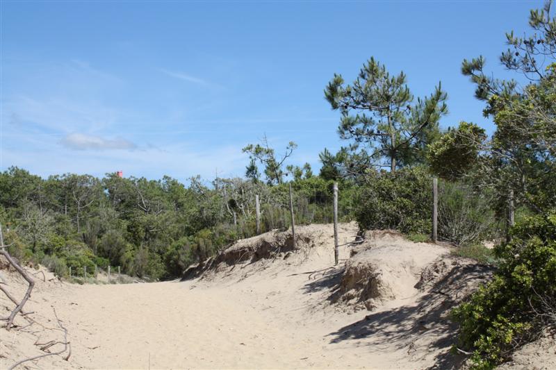 IMG_1096 (Medium).JPG