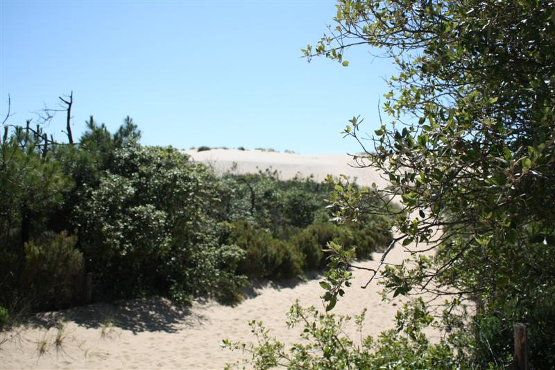 IMG_1097 (Medium).JPG