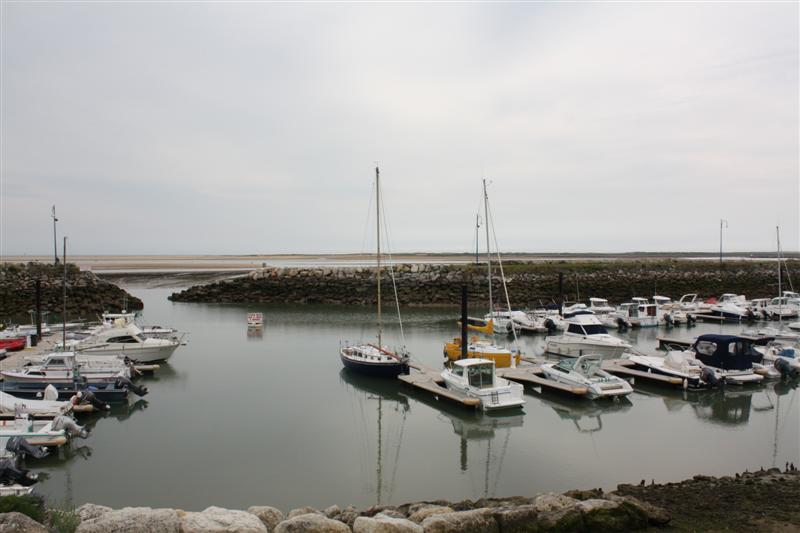 IMG_1120 (Medium).JPG