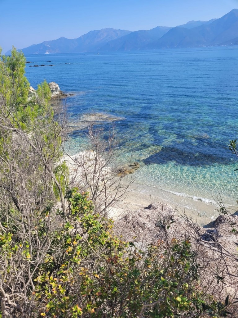 IMG_0322.jpeg