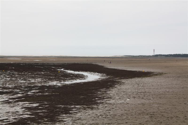 Bonne Anse et la Pointe de la Coubre