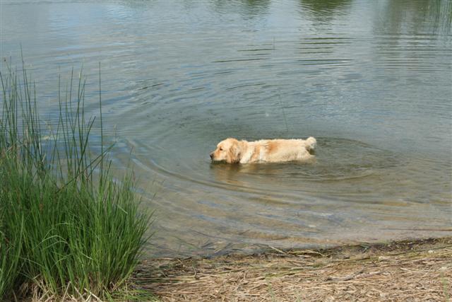 IMG_6599 (Small).JPG