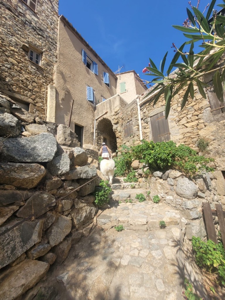 IMG_0351.jpeg
