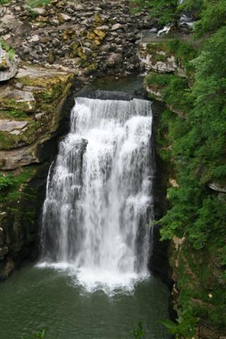 IMG_6624 (Small).JPG