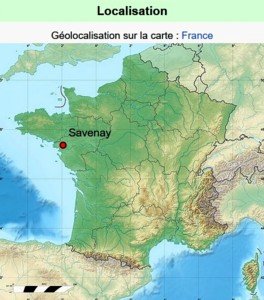 Savenay carte.jpg