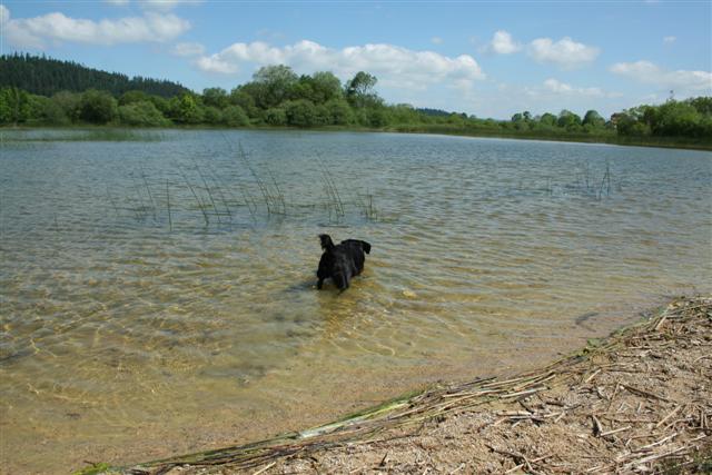 IMG_6651 (Small).JPG