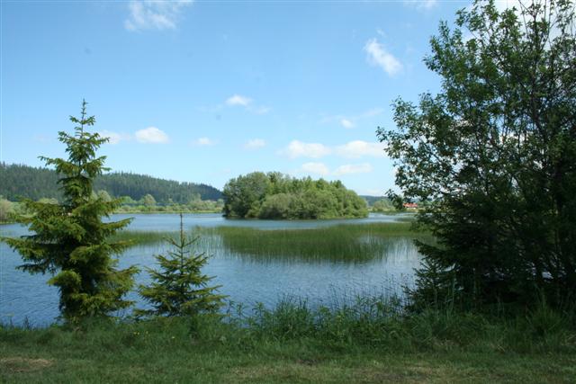 IMG_6677 (Small).JPG