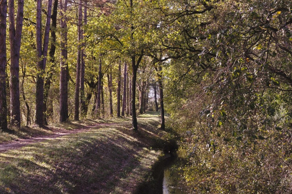 La Rigole 9 .jpg