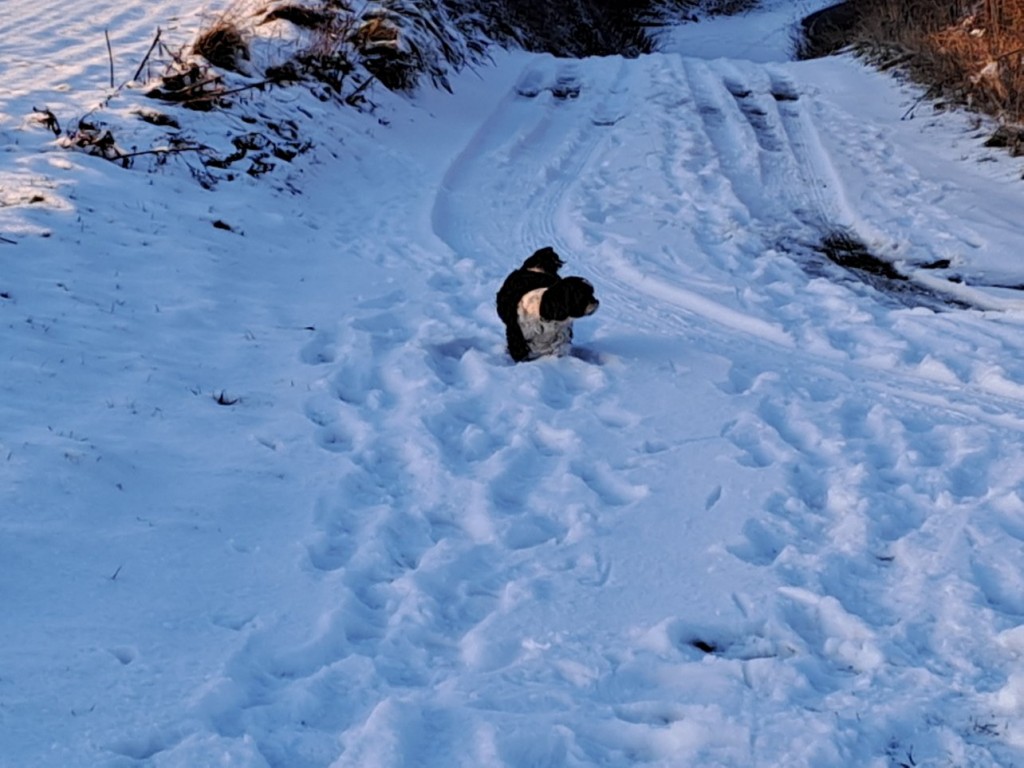 20240118_165038.jpg