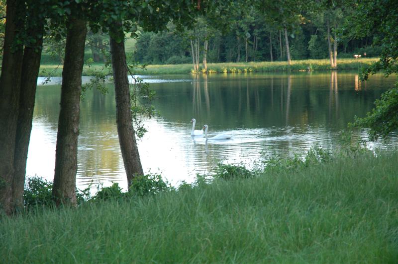 DSC_0413 (Medium).JPG