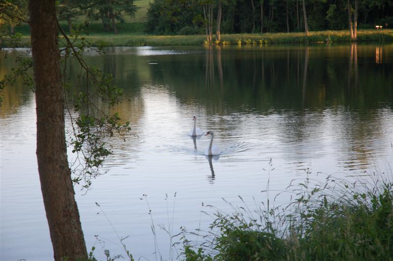 DSC_0414 (Medium).JPG