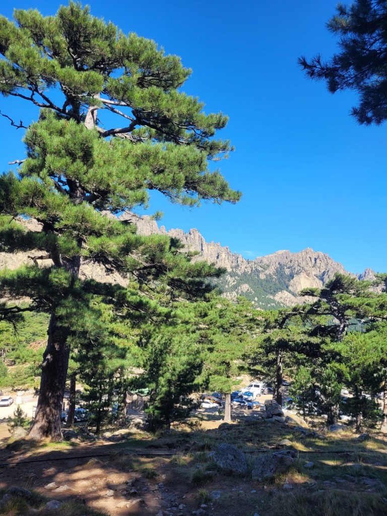IMG_0491.jpeg