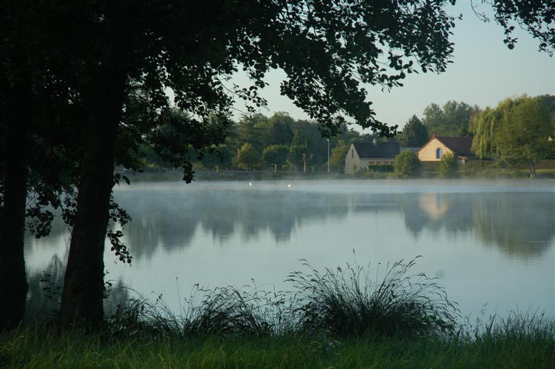 DSC_0426 (Medium).JPG