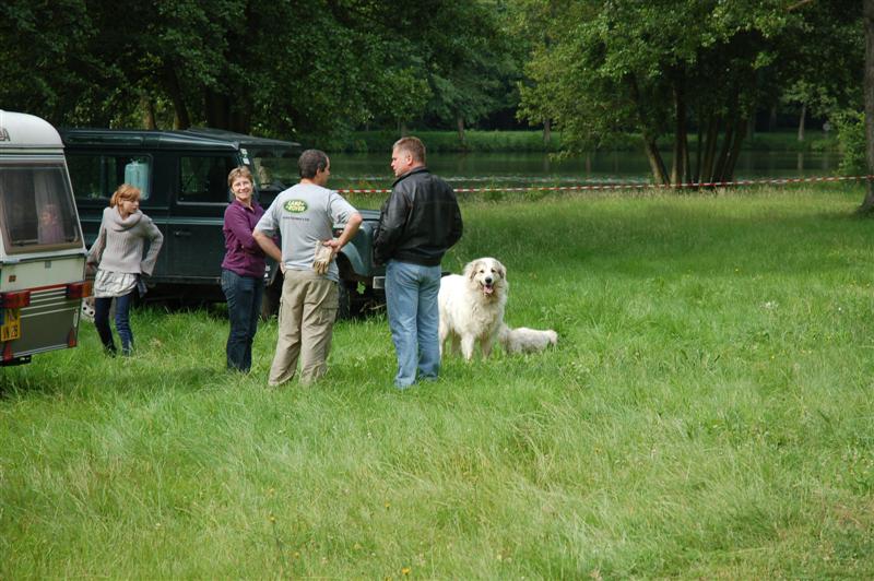 DSC_0431 (Medium).JPG