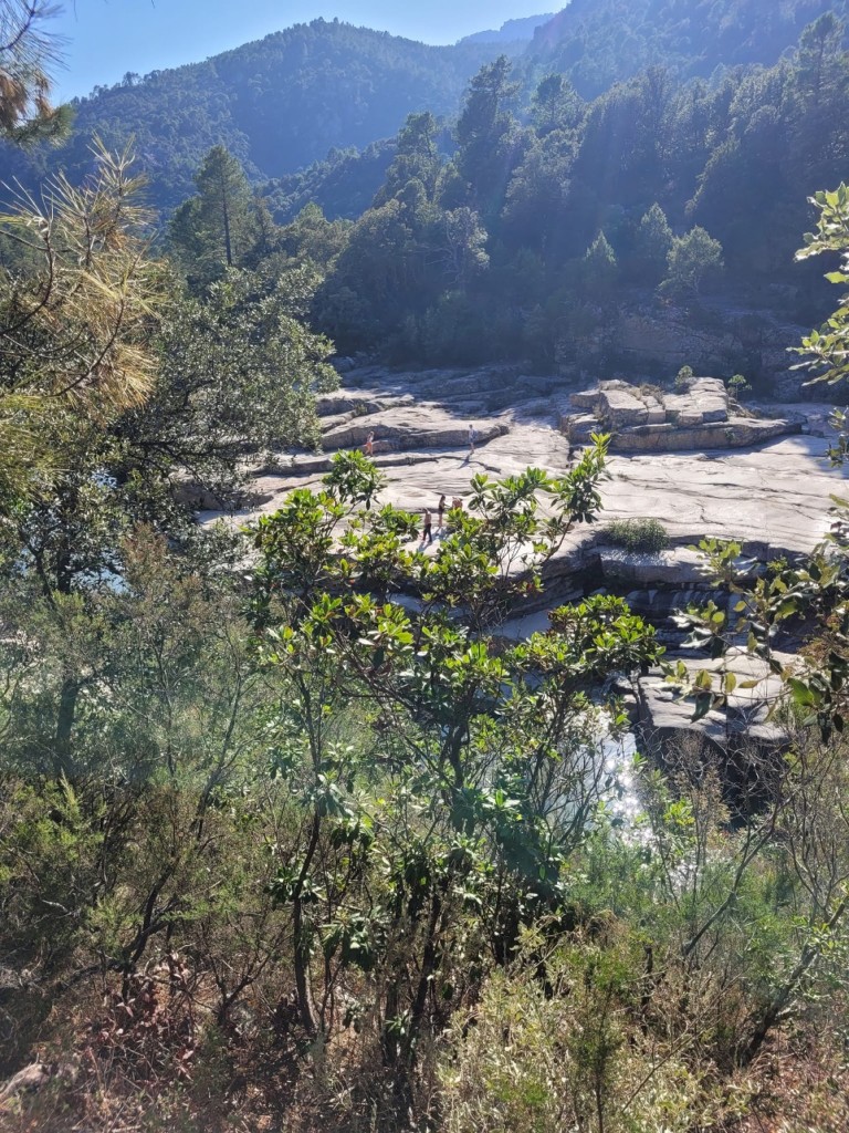 IMG_0539.jpeg
