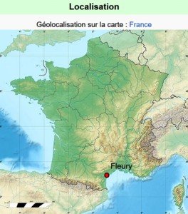 Fleury carte.jpg
